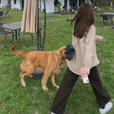 舞动青春